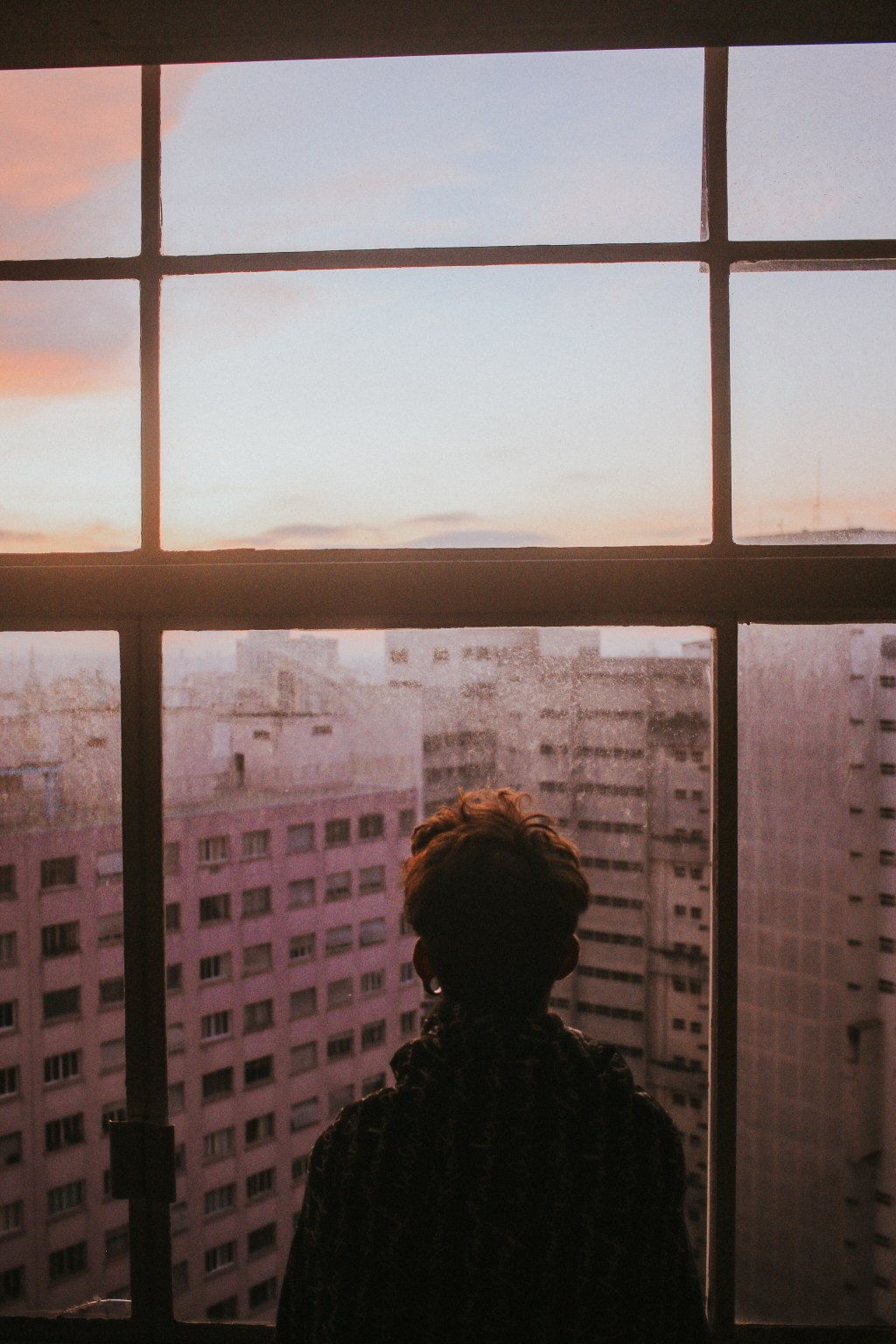 The Blue Jay in the Window #shortstorysunday